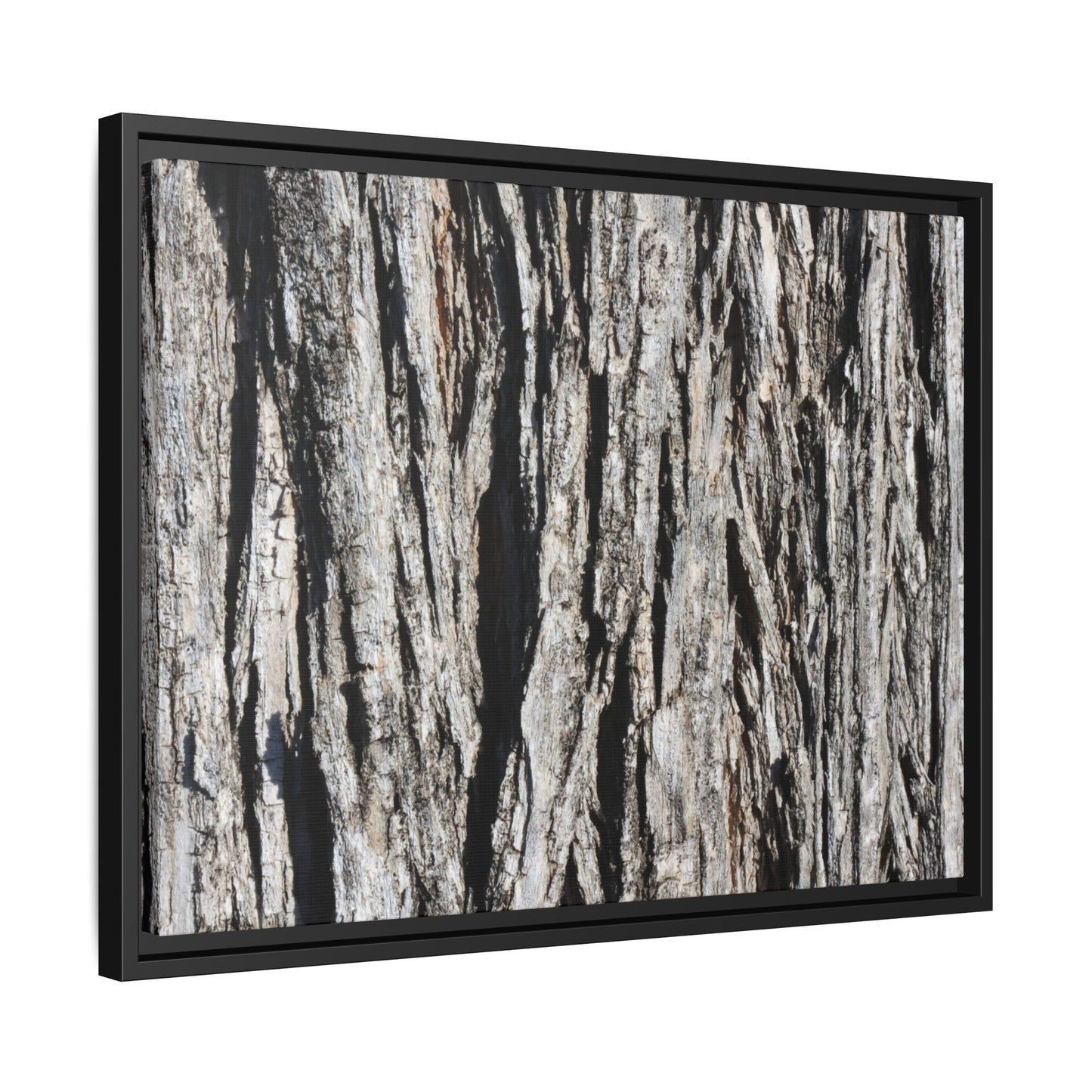 Bark Lines - Unique Stretched Canvas Wall Art - Art By Earth