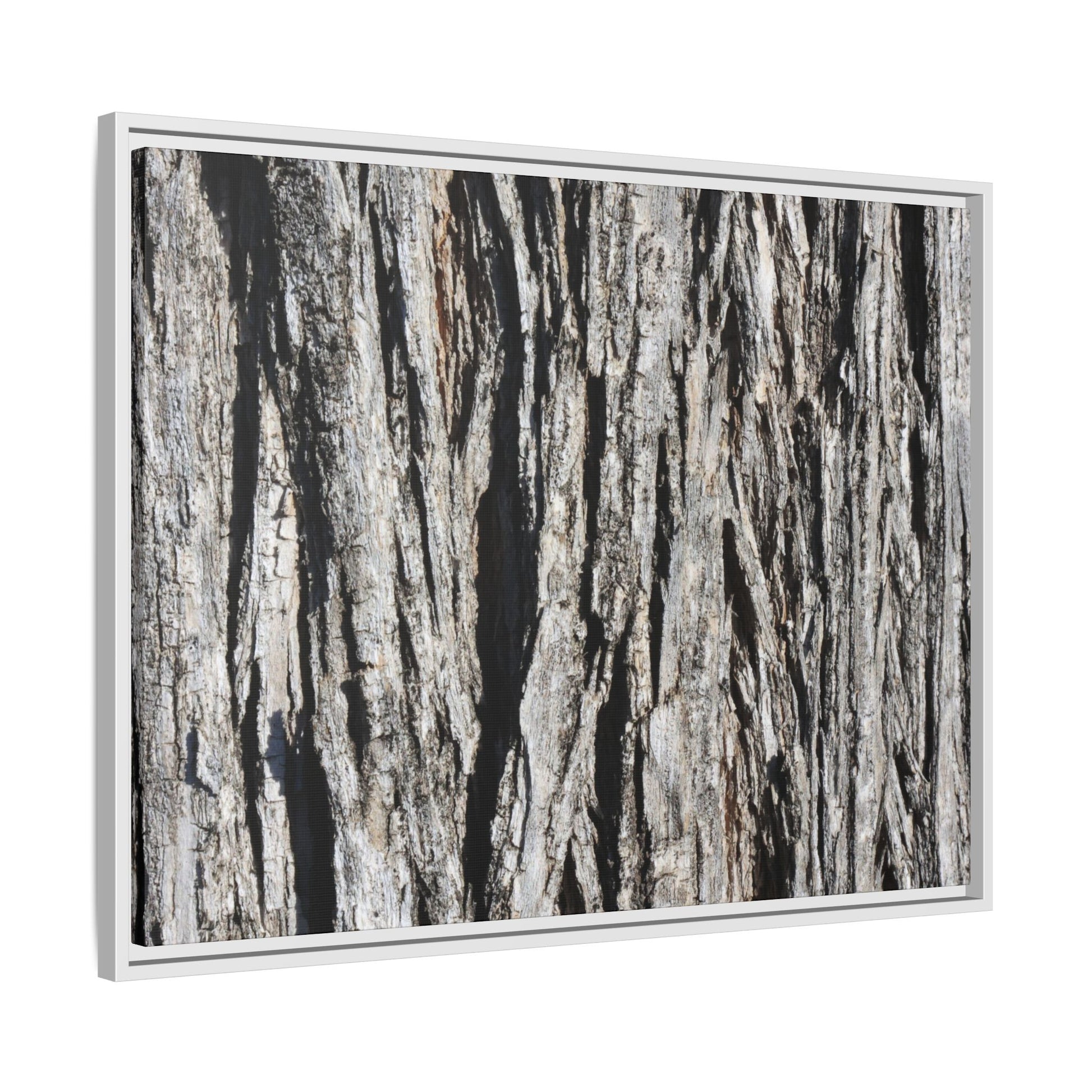Bark Lines - Unique Stretched Canvas Wall Art - Art By Earth