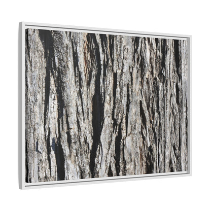 Bark Lines - Unique Stretched Canvas Wall Art - Art By Earth
