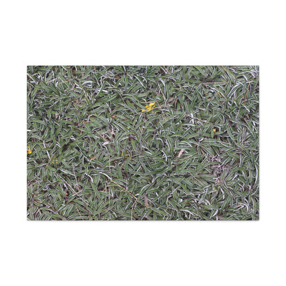 Tangled Memories - Unique Frameless Canvas Wall Art - Art By Earth