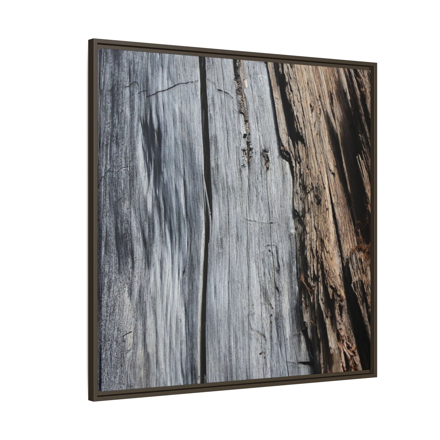 Wood's Lament - Unique Stretched Canvas Wall Art - Art By Earth