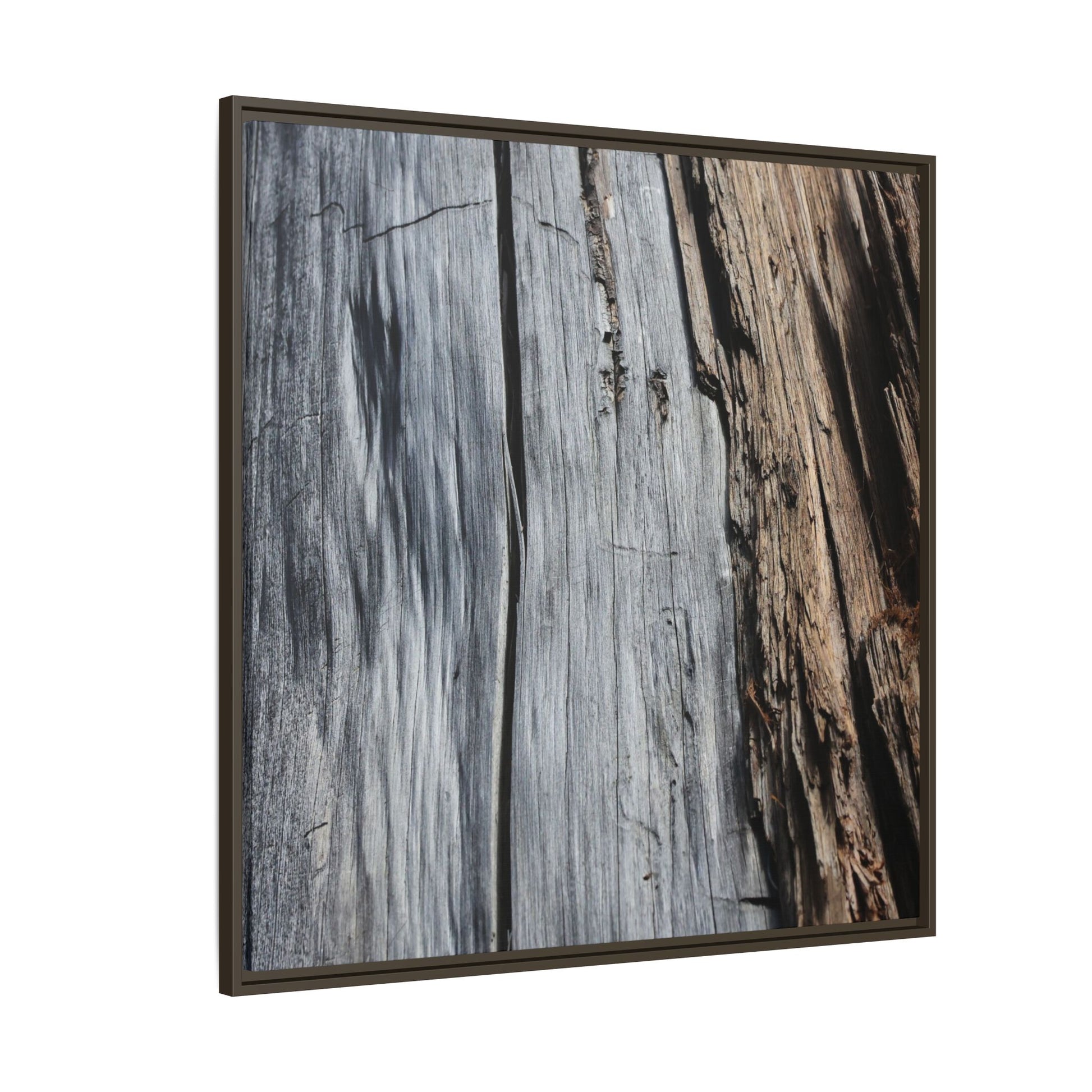 Wood's Lament - Unique Stretched Canvas Wall Art - Art By Earth