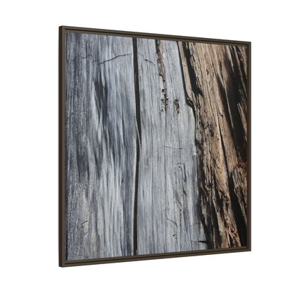 Wood's Lament - Unique Stretched Canvas Wall Art - Art By Earth