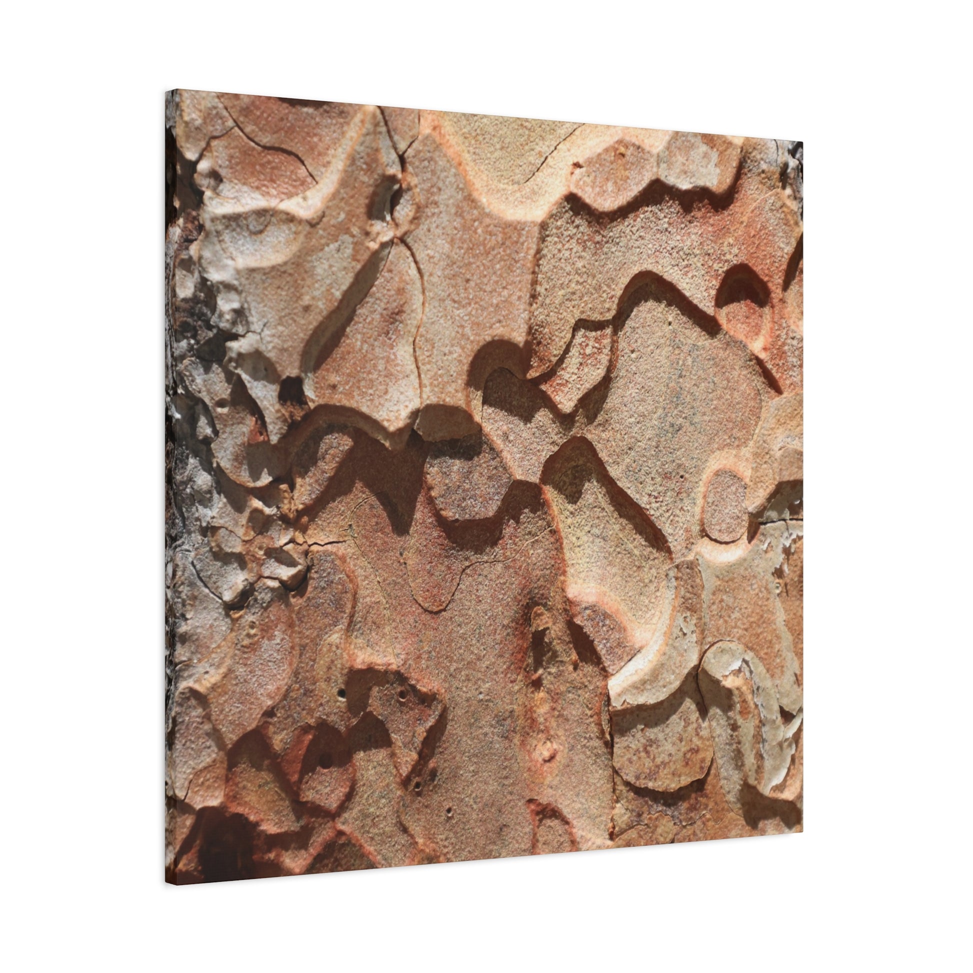 Terracotta Echoes - Unique Frameless Canvas Wall Art - Art By Earth