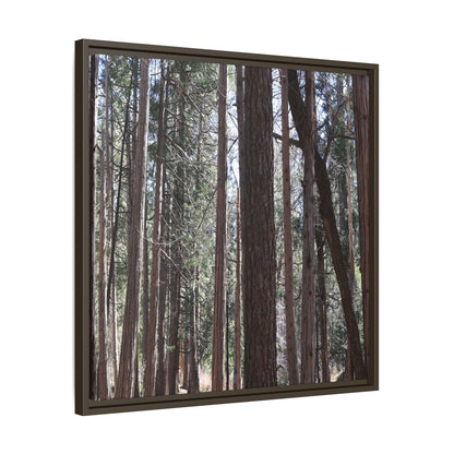 Forest Cathedral - Unique Stretched Canvas Wall Art - Art By Earth