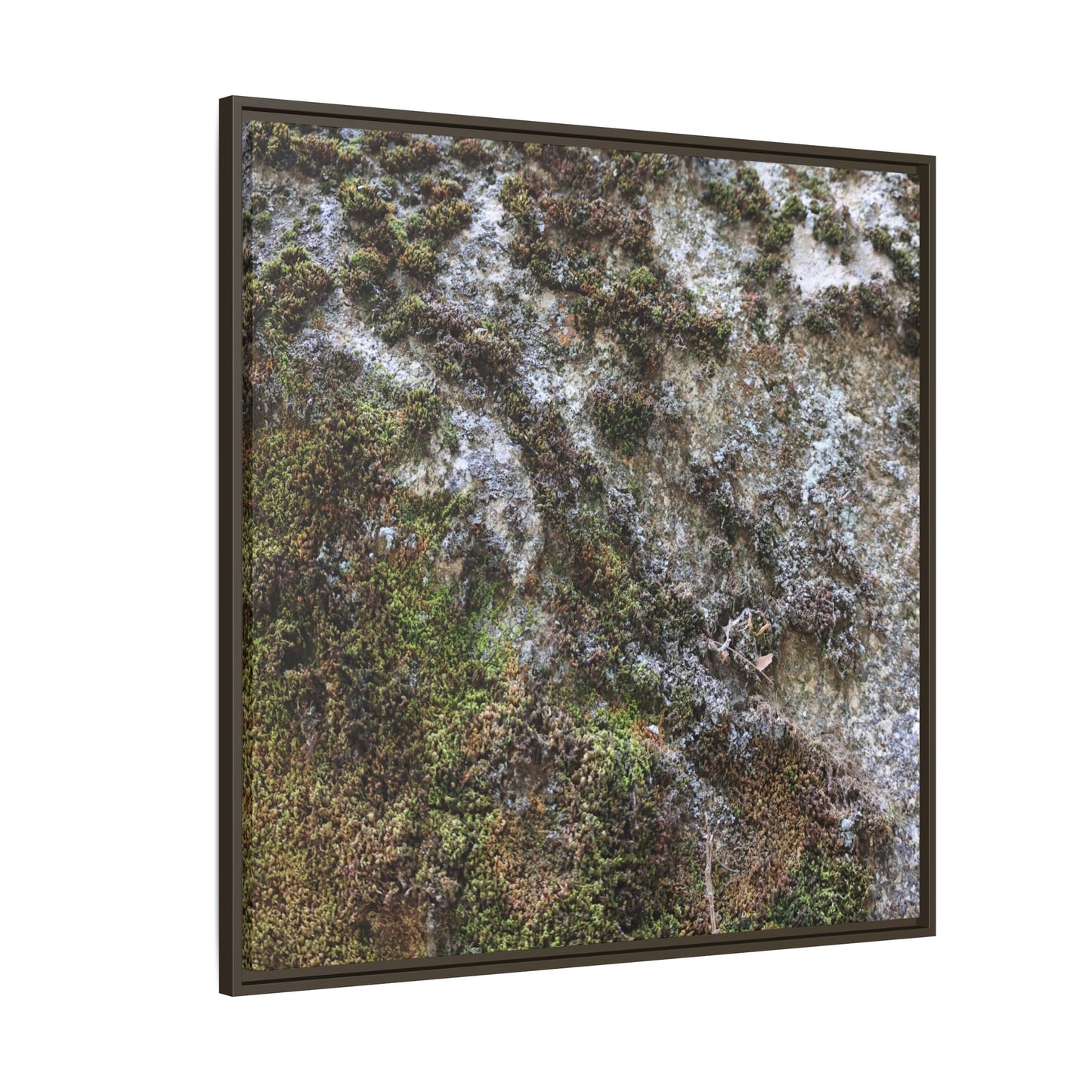 Mossy Whispers - Unique Stretched Canvas Wall Art - Art By Earth