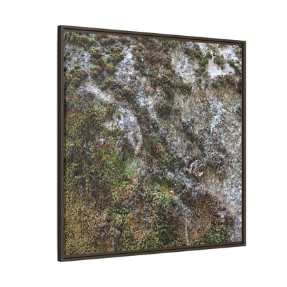 Mossy Whispers - Unique Stretched Canvas Wall Art - Art By Earth