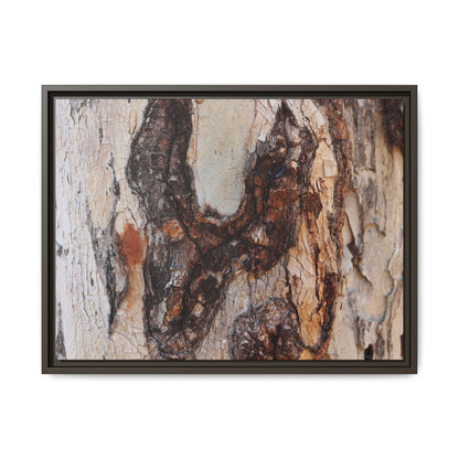 Texture of Time - Unique Stretched Canvas Wall Art - Art By Earth