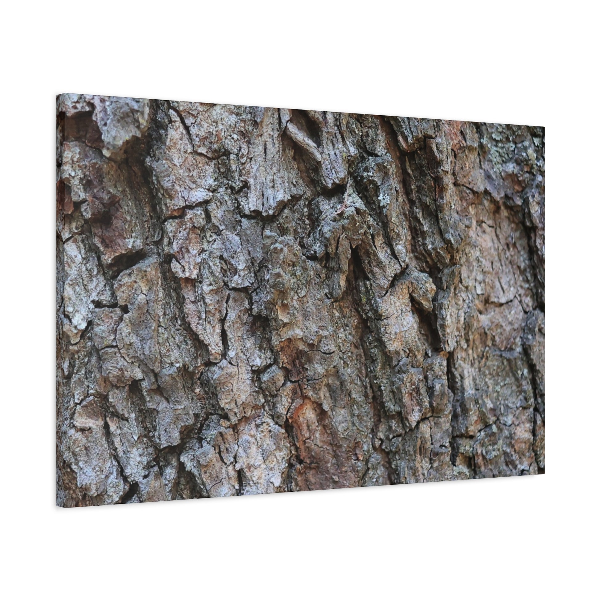 Rugged Canvas - Unique Frameless Canvas Wall Art - Art By Earth