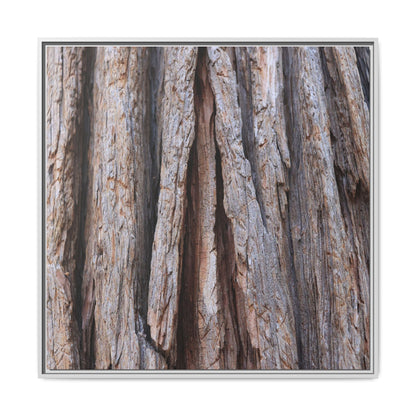 Nature's Sculpture - Unique Stretched Canvas Wall Art - Art By Earth