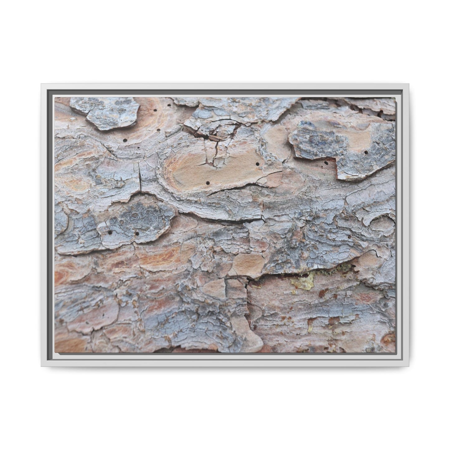 Peeling Memories - Unique Stretched Canvas Wall Art - Art By Earth