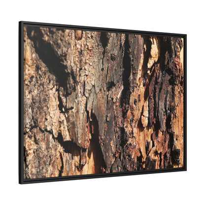 Rugged Beauty - Unique Stretched Canvas Wall Art - Art By Earth