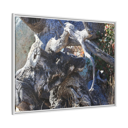 Resilient Roots - Unique Stretched Canvas Wall Art - Art By Earth