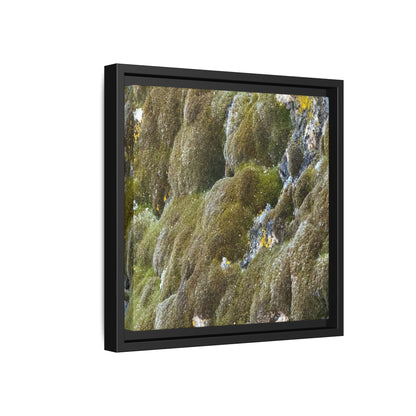 Moss Symphony - Unique Stretched Canvas Wall Art