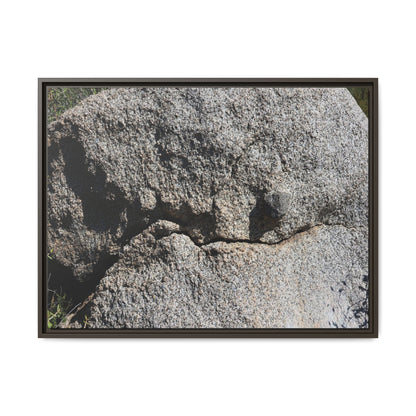 Stone Skull in Desert - Unique Stretched Canvas Wall Art