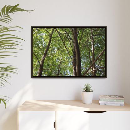 Forest Branches - Unique Stretched Canvas Wall Art