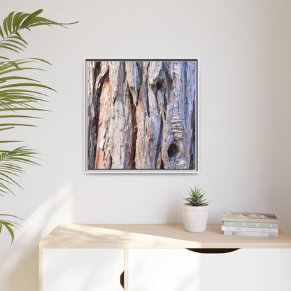 Nature's Grain - Unique Stretched Canvas Wall Art - Art By Earth