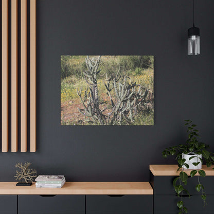 Desert Bloom in Shadow - Unique Frameless Canvas Wall Art - Art By Earth