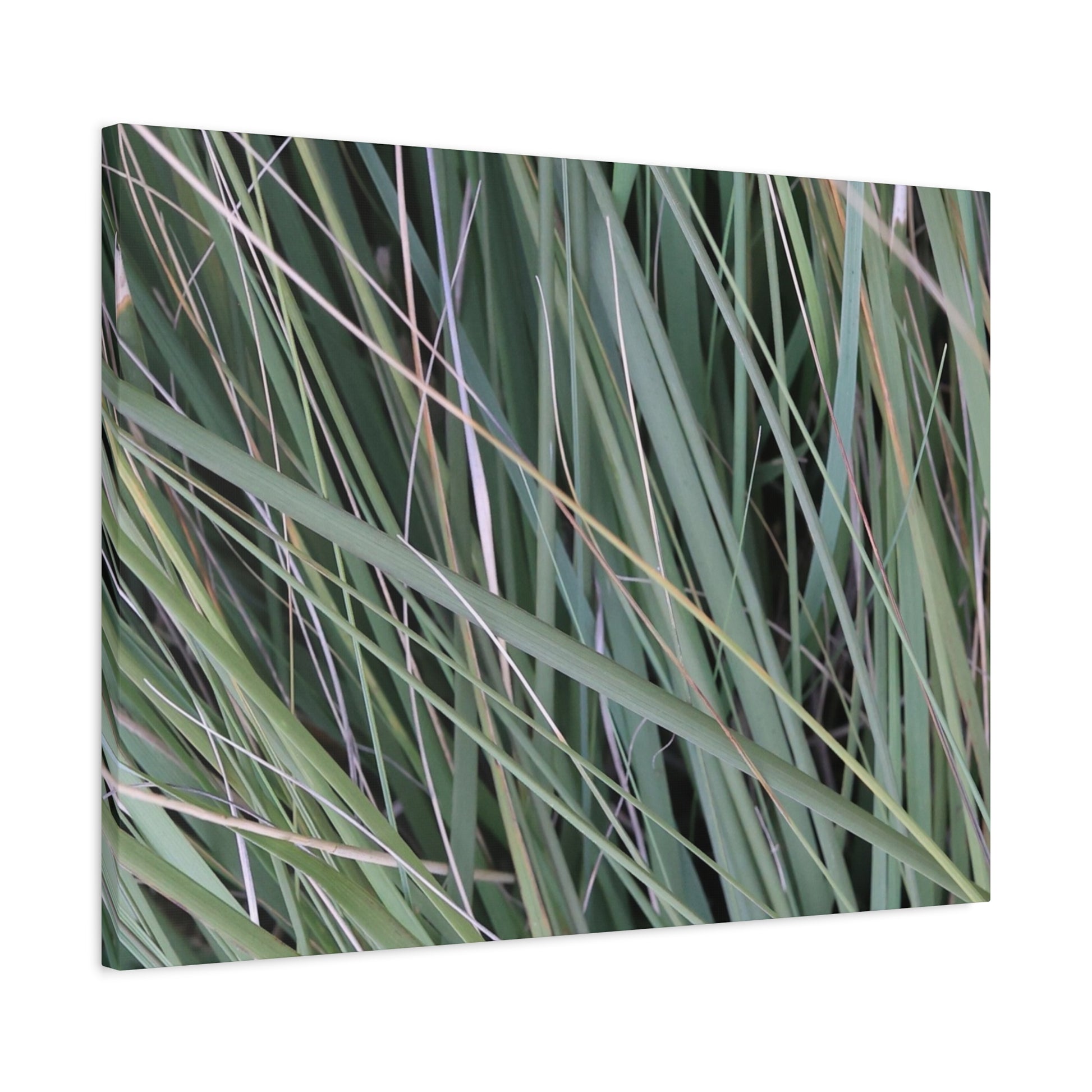 Whispers of Green - Unique Frameless Canvas Wall Art - Art By Earth