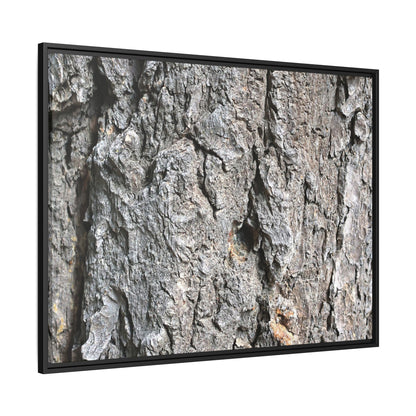 Crusty Exterior - Unique Stretched Canvas Wall Art - Art By Earth