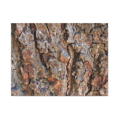 Roots of Time - Unique Frameless Canvas Wall Art - Art By Earth