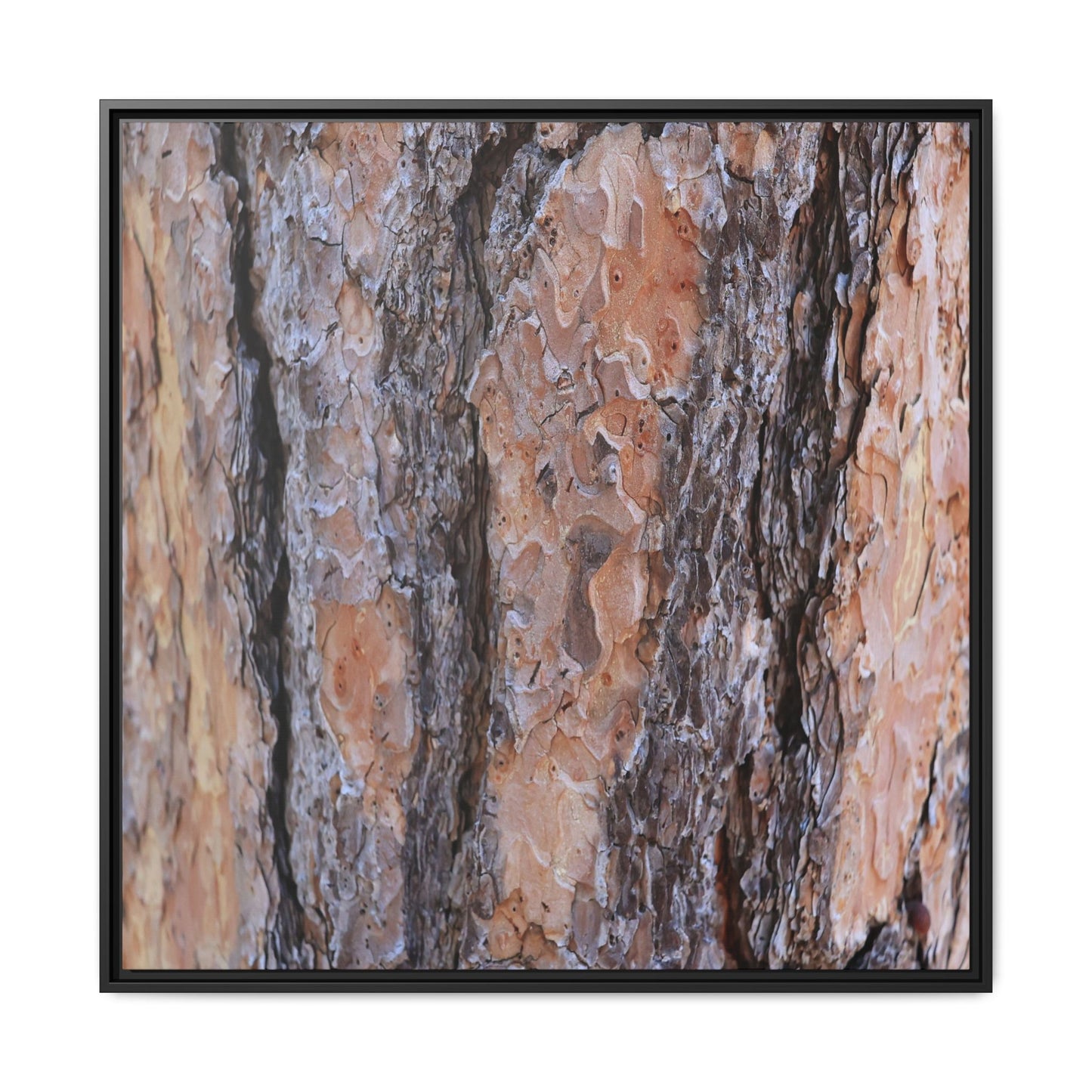 Earthy Embrace - Unique Stretched Canvas Wall Art - Art By Earth