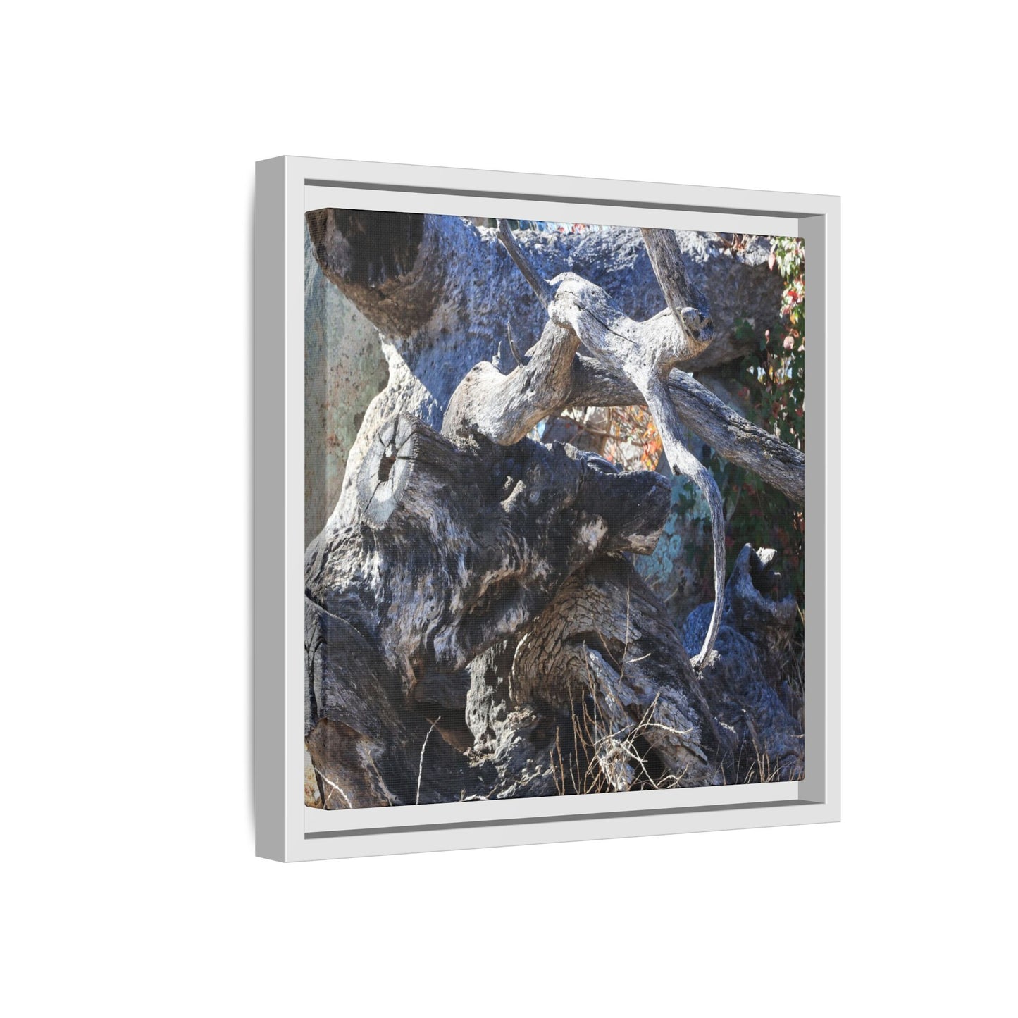 Resilient Roots - Unique Stretched Canvas Wall Art - Art By Earth