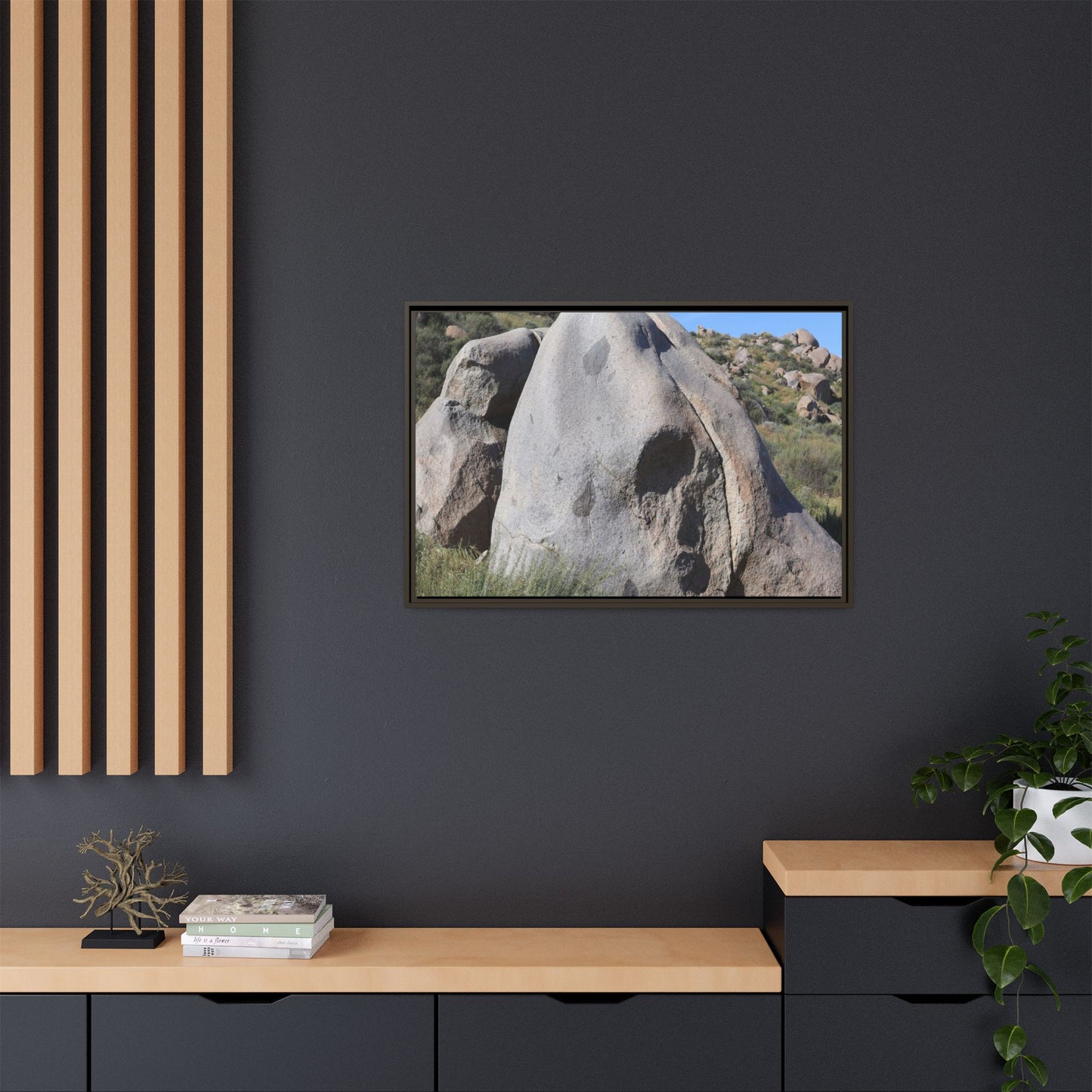 Skull Rock Desert - Unique Stretched Canvas Wall Art - Art By Earth