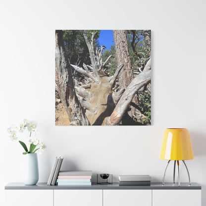 Twisted Roots - Unique Frameless Canvas Wall Art