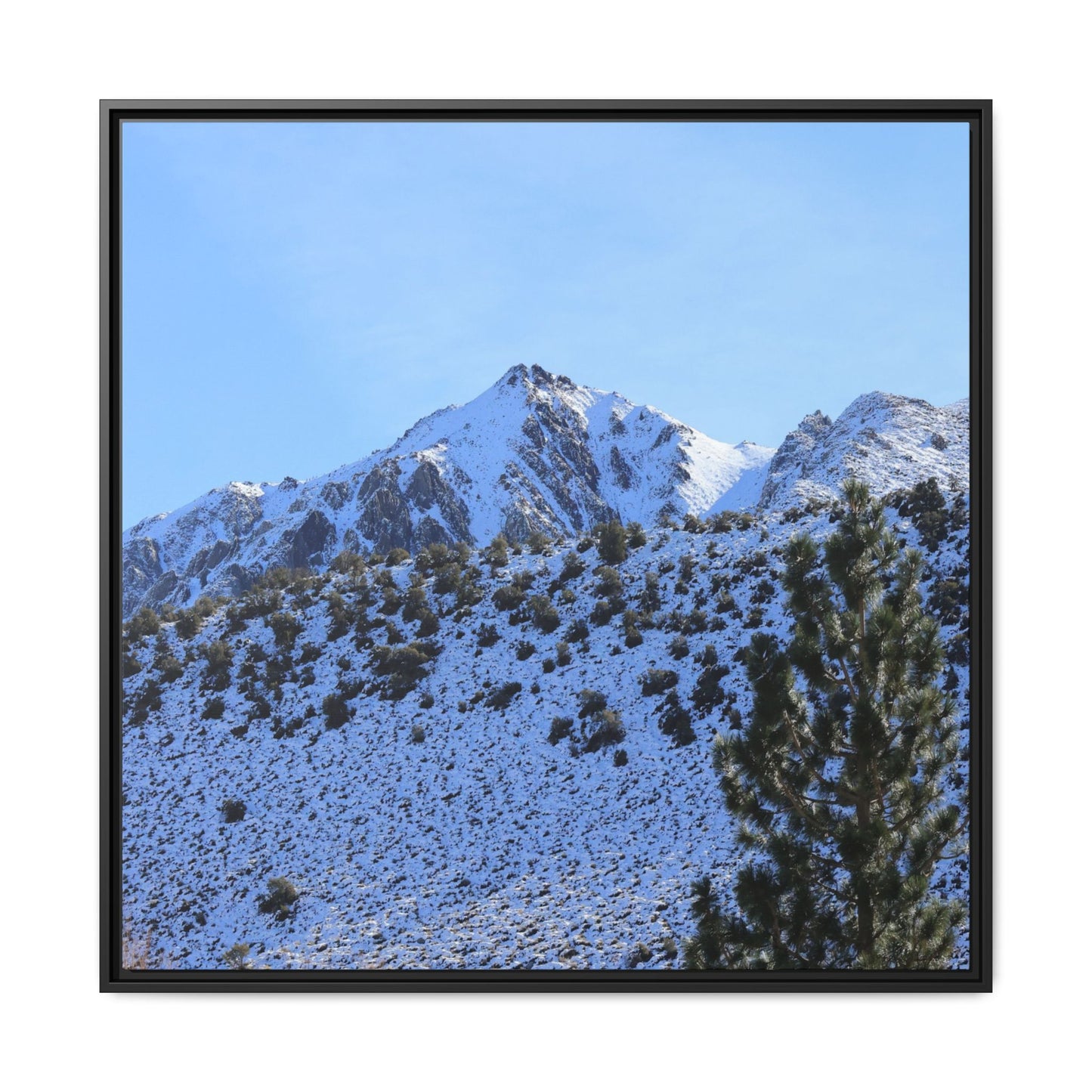 Snow's Embrace - Unique Stretched Canvas Wall Art