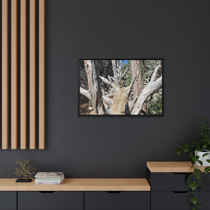 Forest Sentinels - Unique Stretched Canvas Wall Art