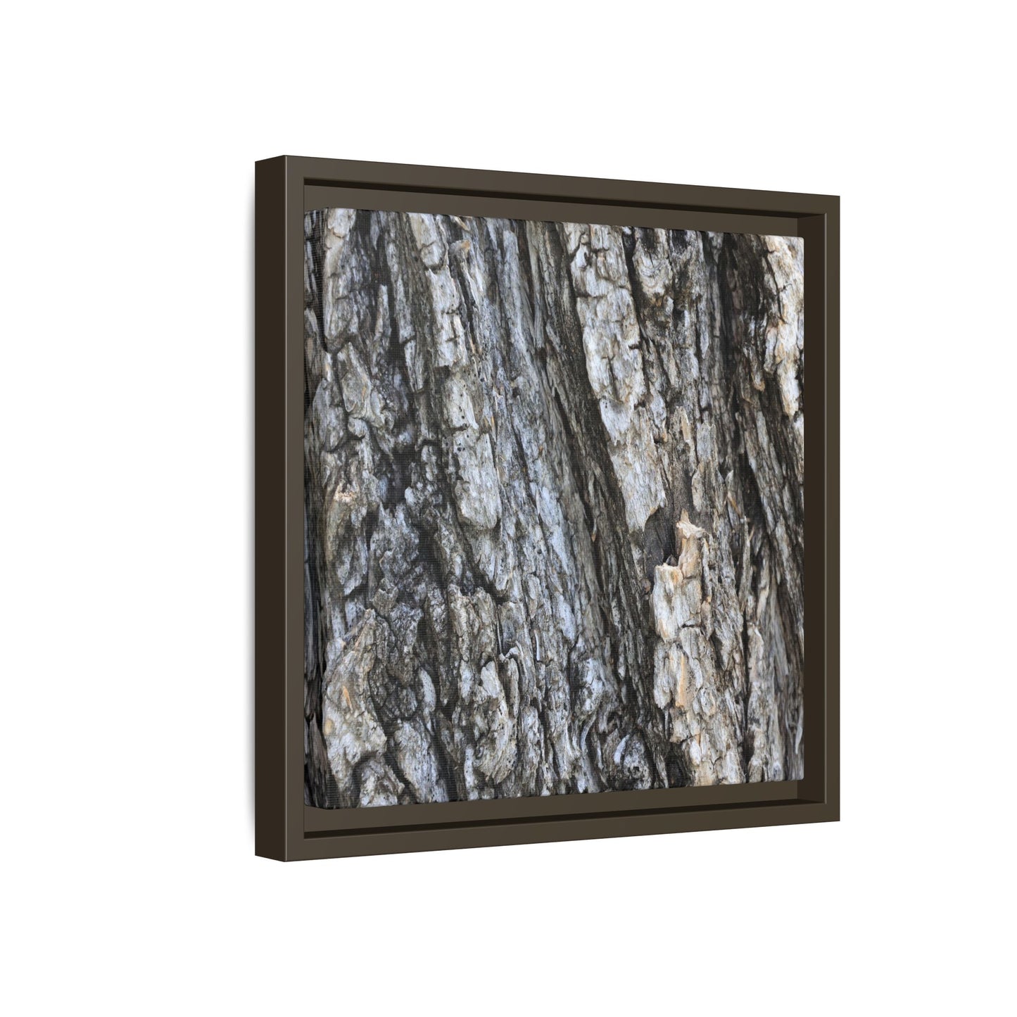 Twisted Textures - Unique Stretched Canvas Wall Art - Art By Earth