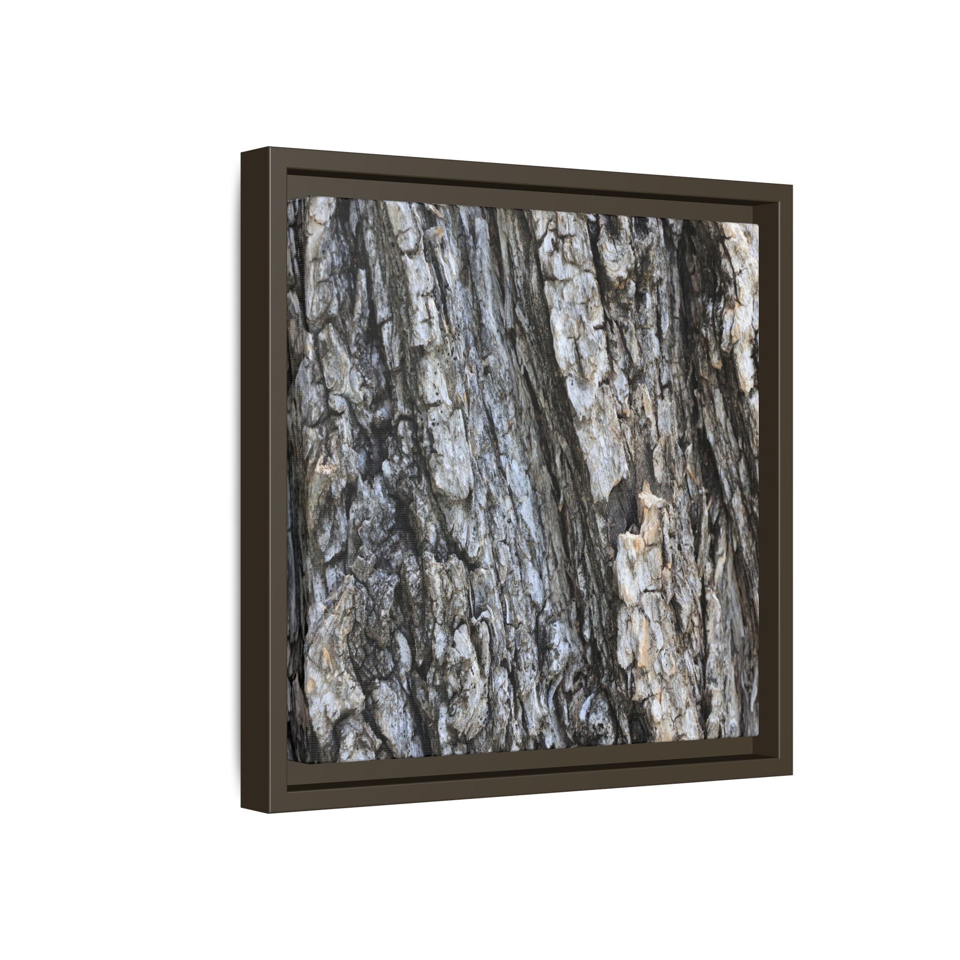 Twisted Textures - Unique Stretched Canvas Wall Art - Art By Earth