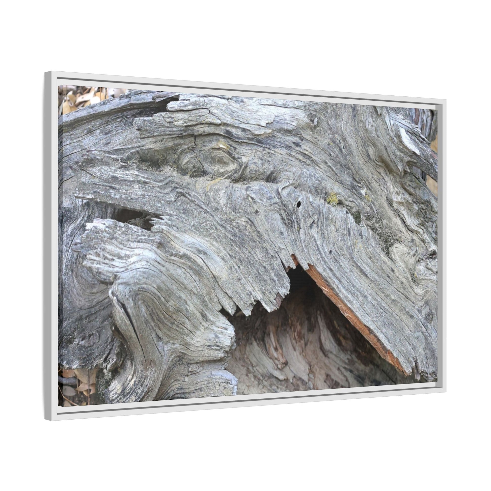 Driftwood Dreams - Unique Stretched Canvas Wall Art - Art By Earth