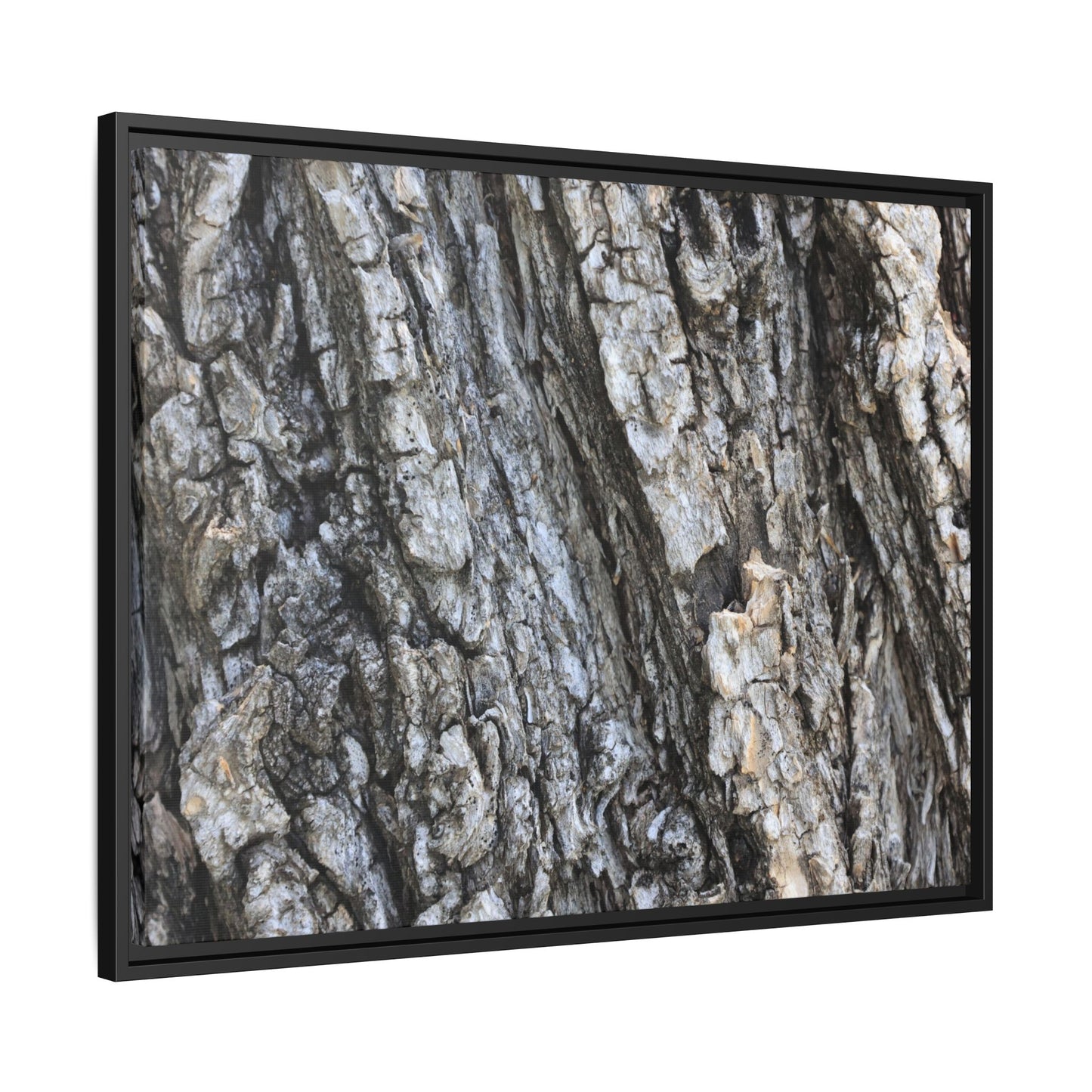 Twisted Textures - Unique Stretched Canvas Wall Art - Art By Earth