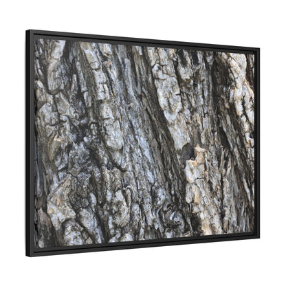 Twisted Textures - Unique Stretched Canvas Wall Art - Art By Earth