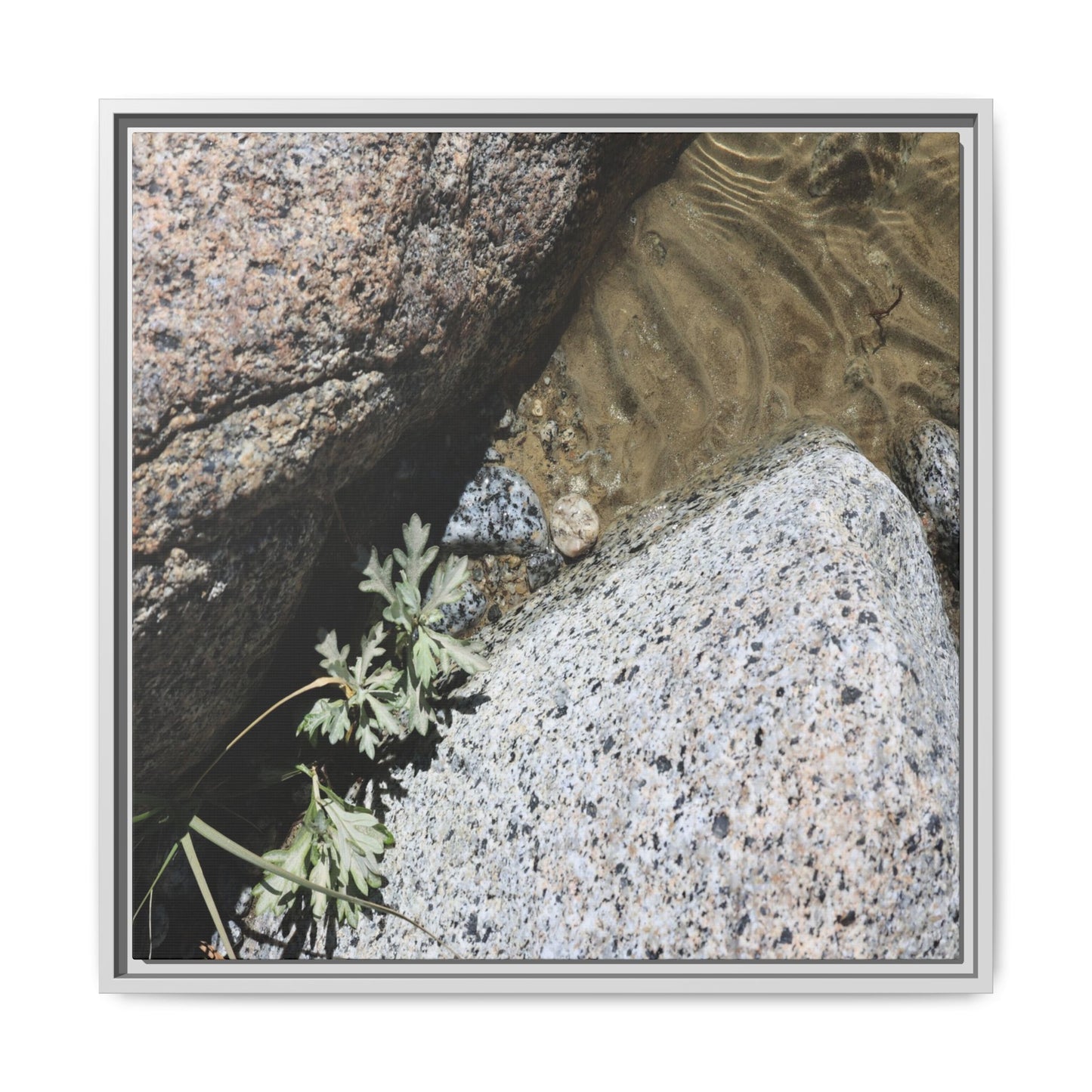 Resilience in Stone - Unique Stretched Canvas Wall Art - Art By Earth