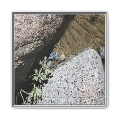 Resilience in Stone - Unique Stretched Canvas Wall Art - Art By Earth