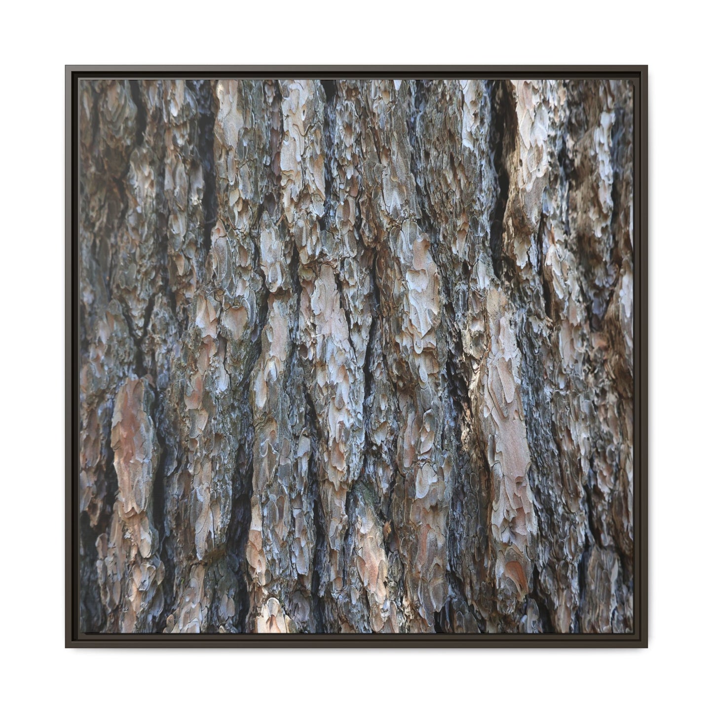 Bark Whispers - Unique Stretched Canvas Wall Art - Art By Earth