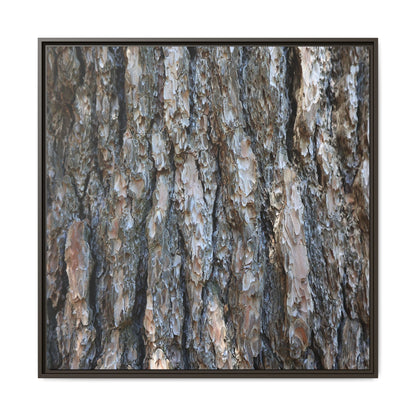 Bark Whispers - Unique Stretched Canvas Wall Art - Art By Earth