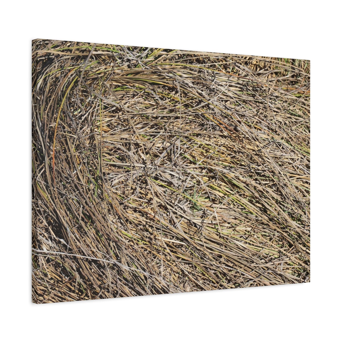 Tangled Hay - Unique Stretched Canvas Wall Art - Art By Earth