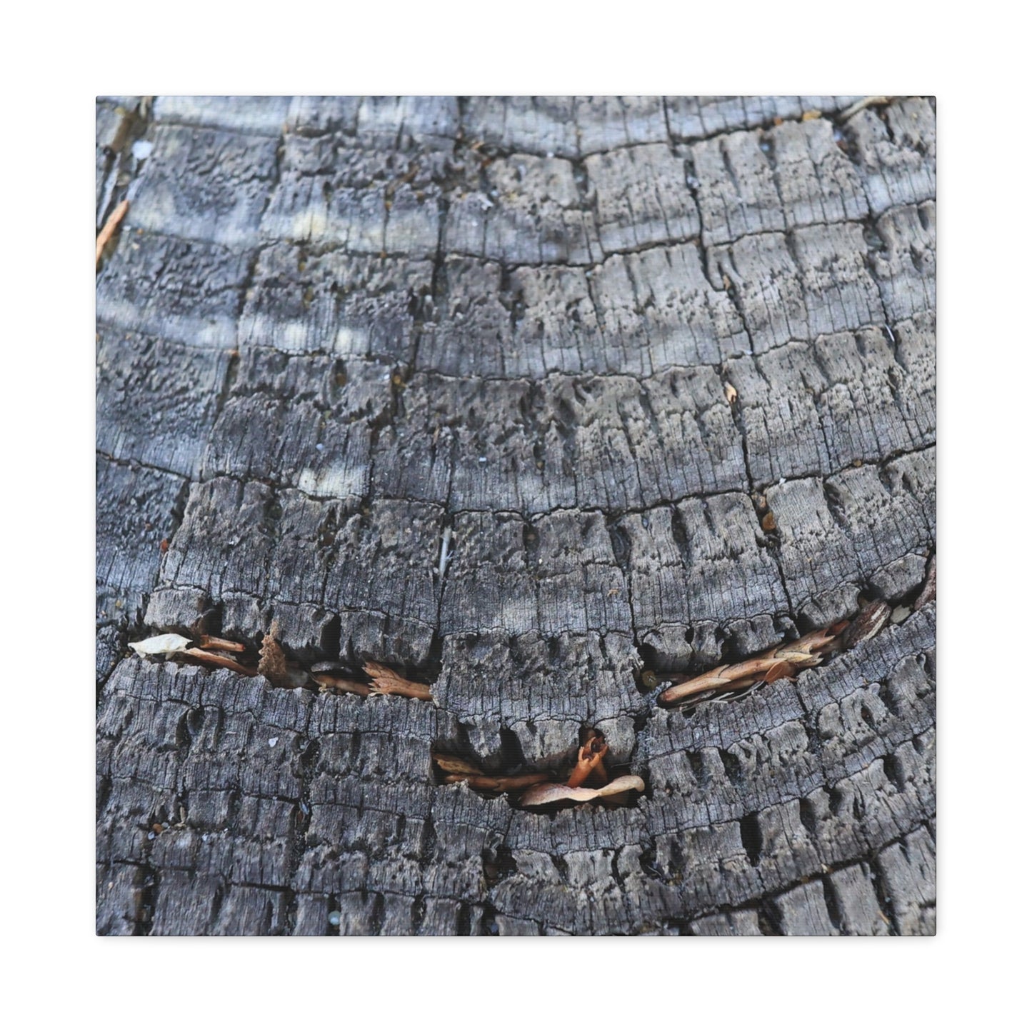 Time's Fractal Whispers - Unique Frameless Canvas Wall Art - Art By Earth