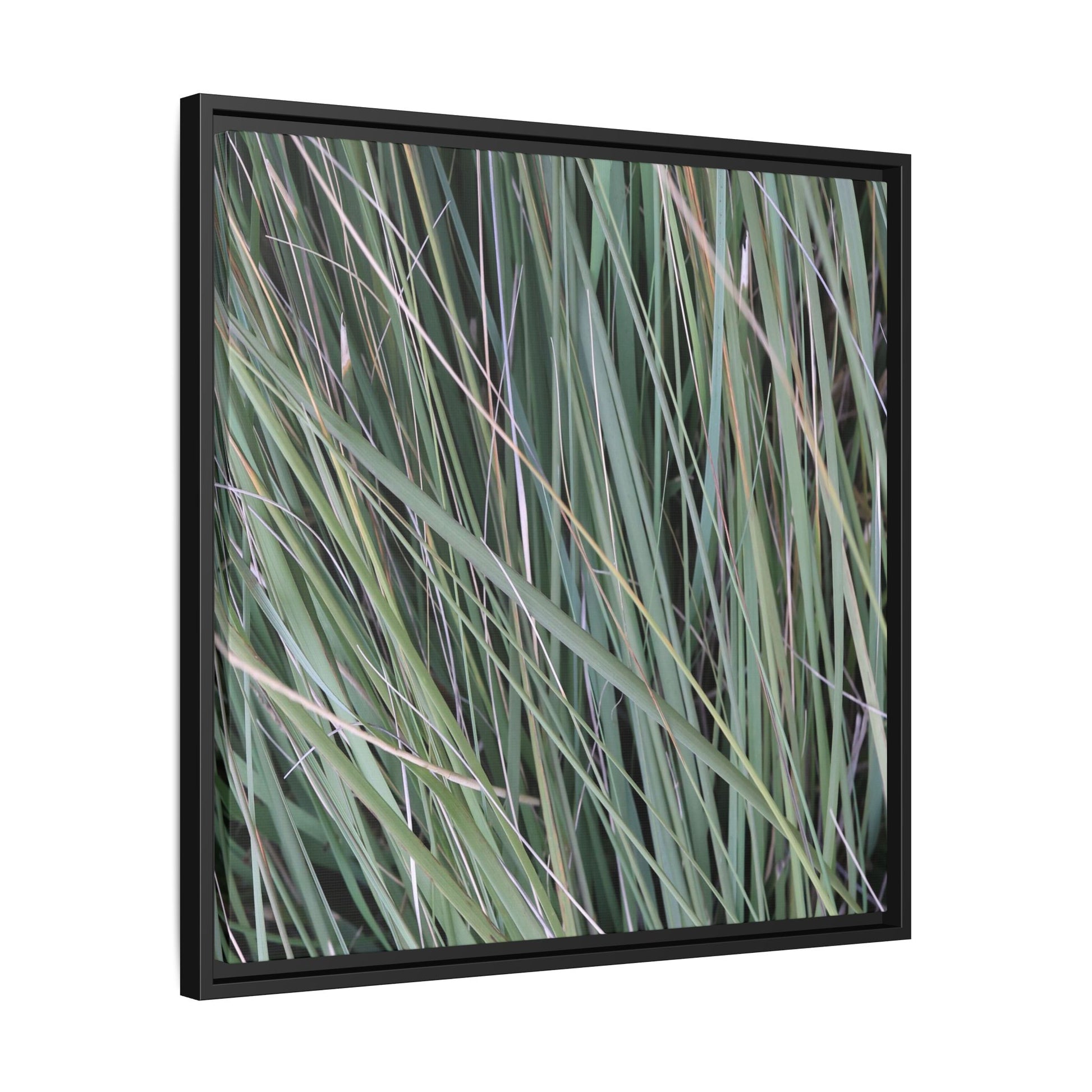 Grassland Symphony - Unique Stretched Canvas Wall Art - Art By Earth