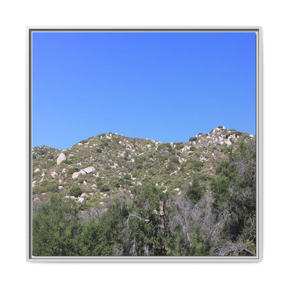 Sparse Vegetation - Unique Stretched Canvas Wall Art