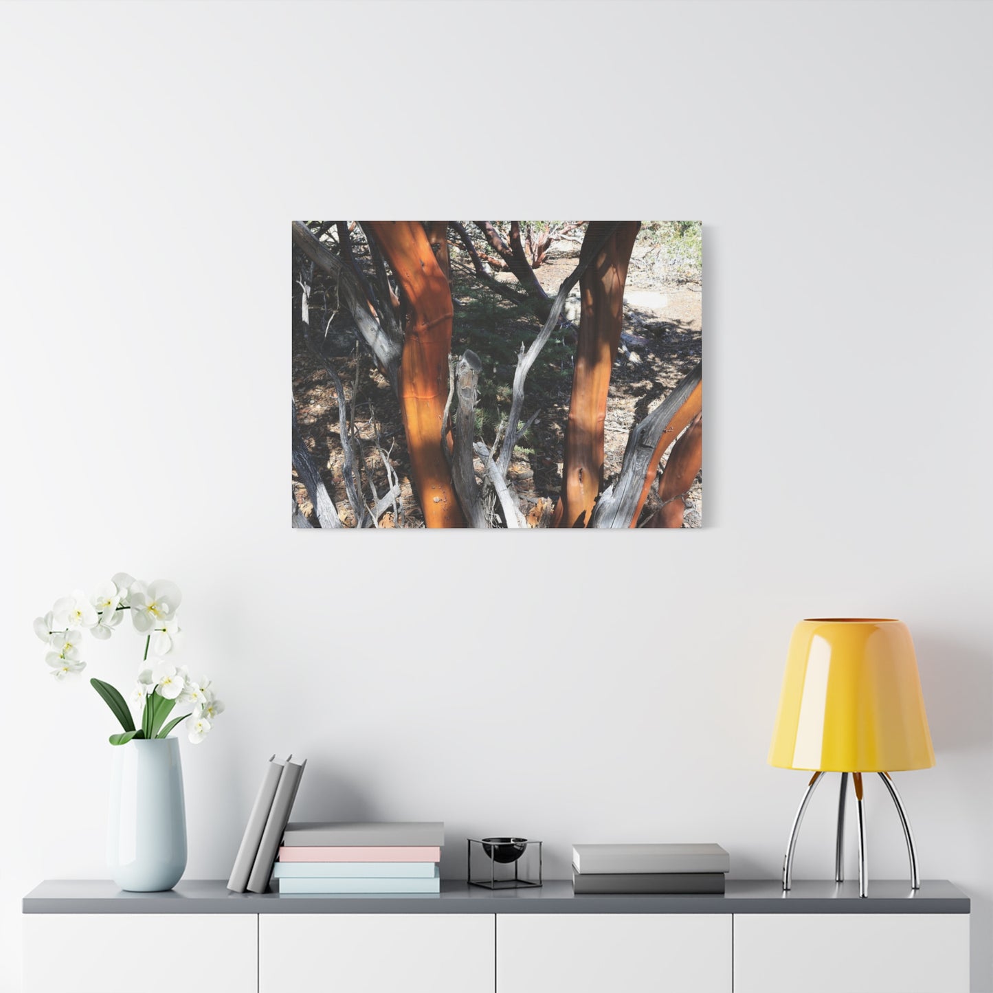 Peeling Bark of Ancient Trees - Unique Frameless Canvas Wall Art
