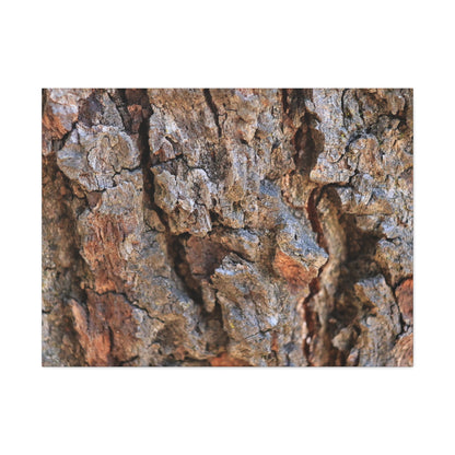 Nature's Skin - Unique Frameless Canvas Wall Art - Art By Earth