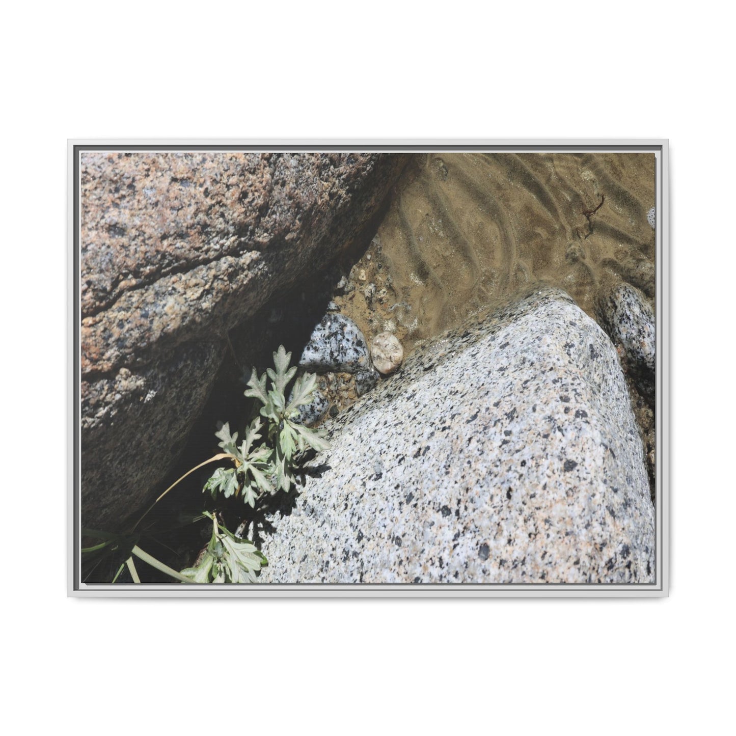 Resilience in Stone - Unique Stretched Canvas Wall Art - Art By Earth