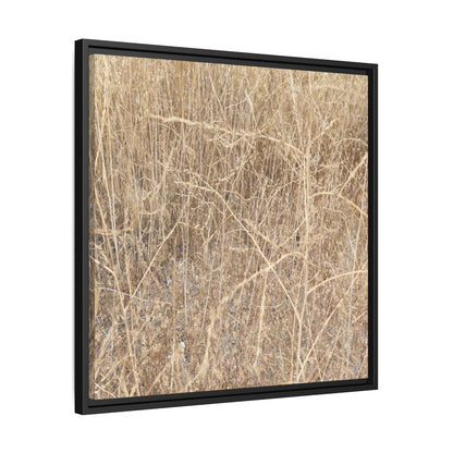 Golden Stalks - Unique Stretched Canvas Wall Art - Art By Earth