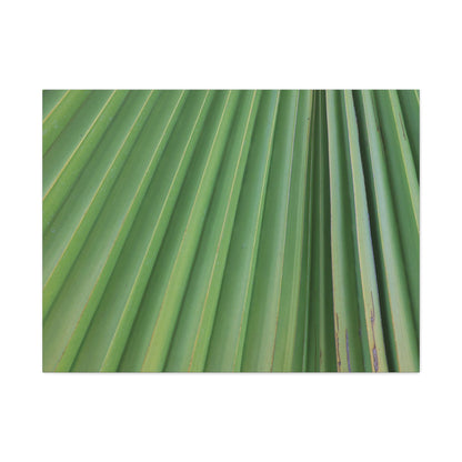 Palm Pulse - Unique Frameless Canvas Wall Art - Art By Earth