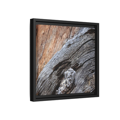 Time's Mark on Timber - Unique Stretched Canvas Wall Art - Art By Earth